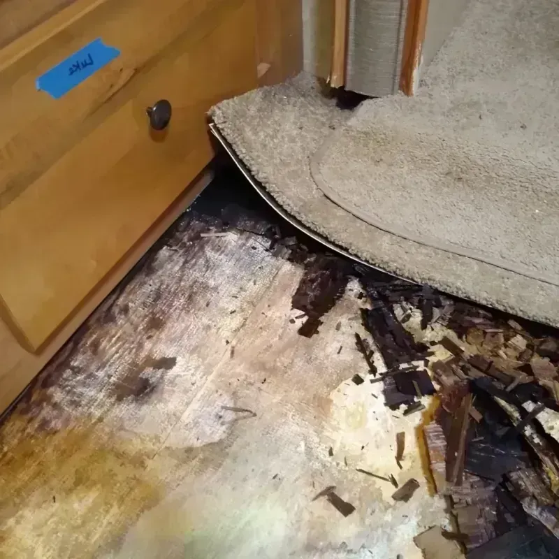 Best Wood Floor Water Damage Service in Mahwah, NJ